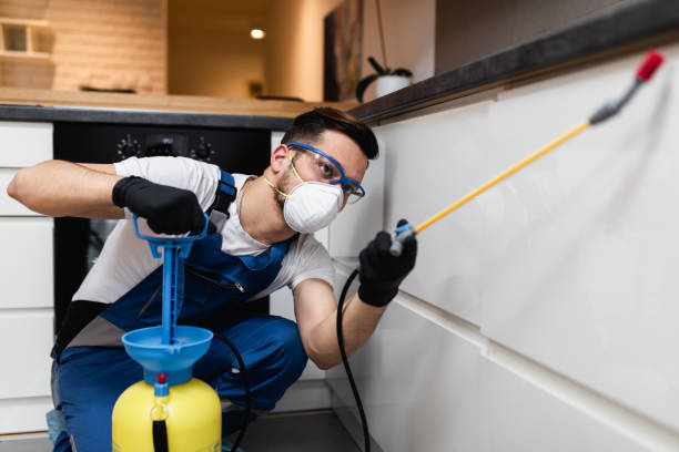 Best Termite Control Services  in Shorewood, MN