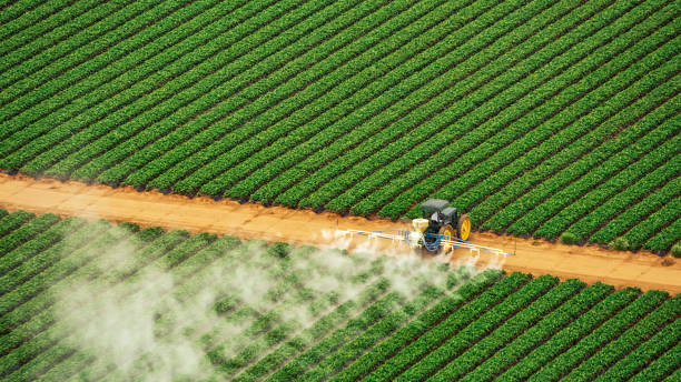 Best Mosquito Control Services  in Shorewood, MN