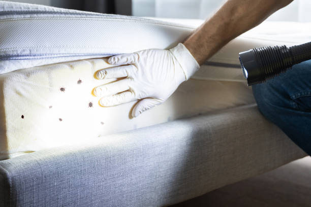 Best Pest Inspection Near Me  in Shorewood, MN