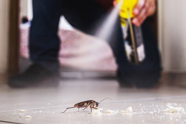 Best Pest Removal Services  in Shorewood, MN