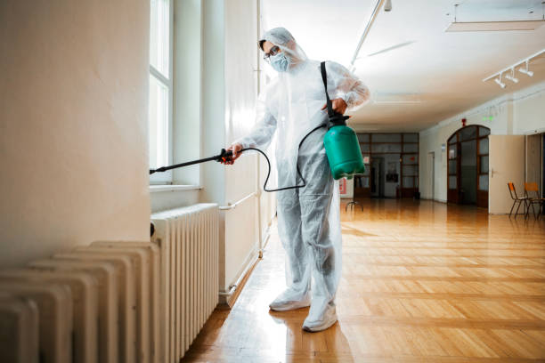 Best Affordable Pest Control Services  in Shorewood, MN