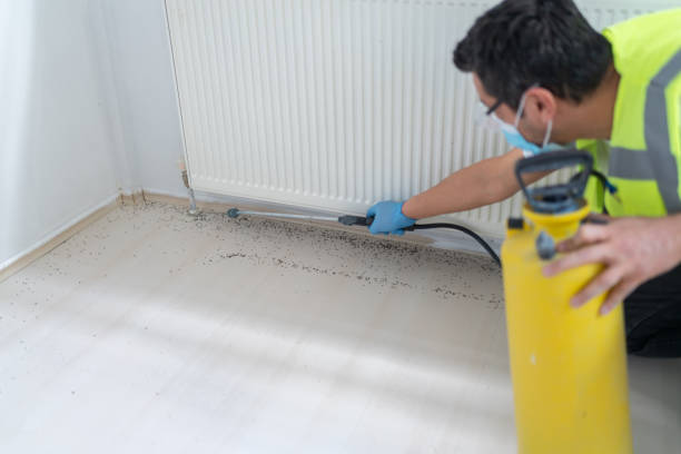 Wasp Removal Services in Shorewood, MN