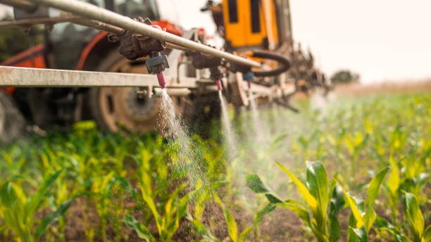 Best Wildlife Control Services  in Shorewood, MN